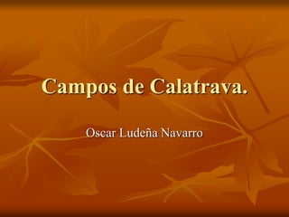 Campos de Calatrava.
Oscar Ludeña Navarro
 