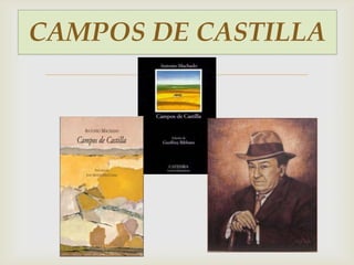 CAMPOS DE CASTILLA
        
 