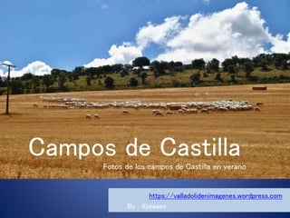 Campos de Castilla
Fotos de los campos de Castilla en verano
https://valladolidenimagenes.wordpress.com
By : @jawaes
 