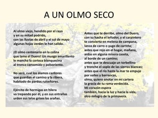 A UN OLMO SECO
Al olmo viejo, hendido por el rayo
                                            Antes que te derribe, olmo del Duero,
y en su mitad podrido,
                                            con su hacha el leñador, y el carpintero
con las lluvias de abril y el sol de mayo
                                            te convierta en melena de campana,
algunas hojas verdes le han salido.
                                            lanza de carro o yugo de carreta;
                                            antes que rojo en el hogar, mañana,
¡El olmo centenario en la colina
                                            ardas en alguna mísera caseta,
que lame el Duero! Un musgo amarillento
                                            al borde de un camino;
le mancha la corteza blanquecina
                                            antes que te descuaje un torbellino
al tronco carcomido y polvoriento.
                                            y tronche el soplo de las sierras blancas;
                                            antes que el río hasta la mar te empuje
No será, cual los álamos cantores
                                            por valles y barrancas,
que guardan el camino y la ribera,
                                            olmo, quiero anotar en mi cartera
habitado de pardos ruiseñores.
                                            la gracia de tu rama verdecida.
                                            Mi corazón espera
Ejército de hormigas en hilera
                                            también, hacia la luz y hacia la vida,
va trepando por él, y en sus entrañas
                                            otro milagro de la primavera.
urden sus telas grises las arañas.
 
