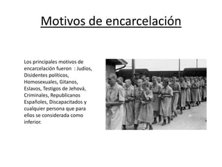 Motivos de encarcelación
Los principales motivos de
encarcelación fueron : Judíos,
Disidentes políticos,
Homosexuales, Gitanos,
Eslavos, Testigos de Jehová,
Criminales, Republicanos
Españoles, Discapacitados y
cualquier persona que para
ellos se considerada como
inferior.
 