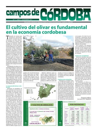 El cultivo del olivar es fundamental
en la economía cordobesa
camposde
CÓRDOBANº 1 - AÑO I - DICIEMBRE 2017
Monográfico ed...