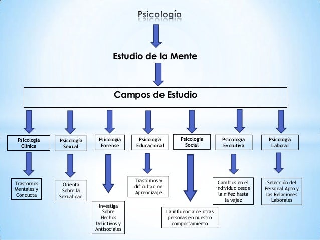 Campos de estudio de la psicología
