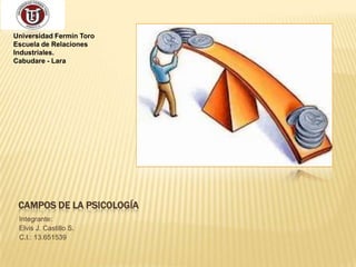 CAMPOS DE LA PSICOLOGÍA
Integrante:
Elvis J. Castillo S.
C.I.: 13.651539
Universidad Fermín Toro
Escuela de Relaciones
Industriales.
Cabudare - Lara
 