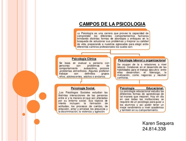 Campos de la psicologia karen sequera