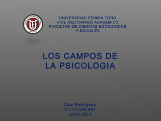 UNIVERSIDAD FERMIN TORO
VICE RECTORADO ACADEMICO
FACULTAD DE CIENCIAS ECONOMICAS
Y SOCIALES
LOS CAMPOS DE
LA PSICOLOGIA
Zuly Rodriguez
C.I.11.584.867
Junio 2013
 