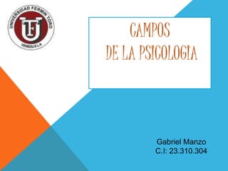 CAMPOS 
DE LA PSICOLOGIA 
Gabriel Manzo 
C.I: 23.310.304 
 