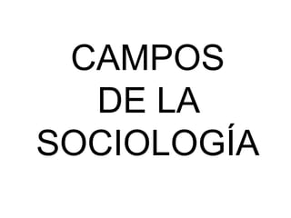 CAMPOS
DE LA
SOCIOLOGÍA
 