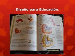 Diseño para Educación.
 