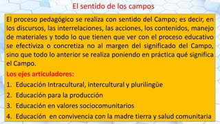 El sentido de los campos
El proceso pedagógico se realiza con sentido del Campo; es decir, en
los discursos, las interrelaciones, las acciones, los contenidos, manejo
de materiales y todo lo que tienen que ver con el proceso educativo
se efectiviza o concretiza no al margen del significado del Campo,
sino que todo lo anterior se realiza poniendo en práctica qué significa
el Campo.
Los ejes articuladores:
1. Educación Intracultural, intercultural y plurilingüe
2. Educación para la producción
3. Educación en valores sociocomunitarios
4. Educación en convivencia con la madre tierra y salud comunitaria
 
