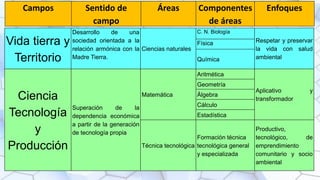 Vida tierra y
Territorio
Desarrollo de una
sociedad orientada a la
relación armónica con la
Madre Tierra.
Ciencias naturales
C. N. Biología
Respetar y preservar
la vida con salud
ambiental
Física
Química
Ciencia
Tecnología
y
Producción
Superación de la
dependencia económica
a partir de la generación
de tecnología propia
Matemática
Aritmética
Aplicativo y
transformador
Geometría
Álgebra
Cálculo
Estadística
Técnica tecnológica
Formación técnica
tecnológica general
y especializada
Productivo,
tecnológico, de
emprendimiento
comunitario y socio
ambiental
Campos Sentido de
campo
Áreas Componentes
de áreas
Enfoques
 