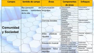 Comunidad
y Sociedad
Recuperación del
sentido comunitario
de la vida
Comunicación y
lenguajes
Comunicación Comunicativo
dialógico y textual
Literatura
Lingüística
Psicolingüística
Sociolingüística
Pragmática
Semiótica
Ciencias sociales Historia Descolonizador,
crítico y propositivo
Geografía
Antropología
Sociología
Economía-política
Ciencia Política
Educación Cívica
Artes plásticas y
visuales
Dibujo artístico Vivencial, expresivo y
creativo
Pintura artística
Modelado
Dibujo técnico
Arte originario
Educación musical Expresión vocal y canto Creatividad,
improvisación y
expresividad
Expresión instrumental
Teoría y lenguaje musical
Educación física y
deportes
Educación física Desarrollo corporal
integral holístico
Actividades deportivas
Actividades recreativas
Campos Sentido de campo Áreas Componentes
de áreas
Enfoques
 