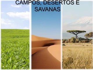 CAMPOS, DESERTOS E
SAVANAS
 