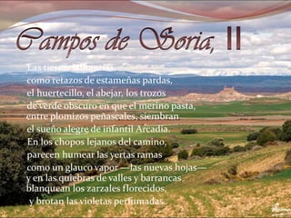 Campos de Soria, II    Las tierras labrantías,     como retazos de estameñas pardas,     el huertecillo, el abejar, los trozos     de verde obscuro en que el merino pasta, entre plomizos peñascales, siembran     el sueño alegre de infantil Arcadia.     En los chopos lejanos del camino,     parecen humear las yertas ramas     como un glauco vapor —las nuevas hojas— y en las quiebras de valles y barrancas blanquean los zarzales florecidos,      y brotan las violetas perfumadas. 