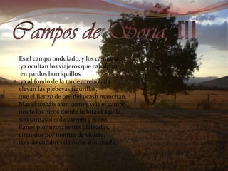 Campos de Soria, III      Es el campo ondulado, y los caminos       ya ocultan los viajeros que cabalgan        en pardos borriquillos        ya al fondo de la tarde arrebolada       elevan las plebeyas figurillas,       que el lienzo de oro del ocaso manchan.      Mas si trepáis a un cerro y veis el campo                  desde los picos donde habita el águila,       son tornasoles de carmín y acero,       llanos plomizos, lomas plateadas,      circuidos por montes de violeta,      con las cumbres de nieve sonrosada. 