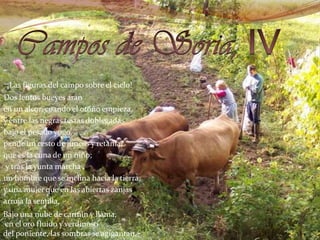 Campos de Soria, IV¡Las figuras del campo sobre el cielo!    Dos lentos bueyes aran    en un alcor, cuando el otoño empieza,     y entre las negras testas doblegadas    bajo el pesado yugo,    pende un cesto de juncos y retama,     que es la cuna de un niño;     y tras la yunta marcha    un hombre que se inclina hacia la tierra,    y una mujer que en las abiertas zanjas    arroja la semilla.Bajo una nube de carmín y llama, en el oro fluido y verdinoso del poniente, las sombras se agigantan. 