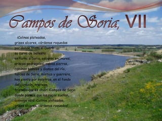 Campos de Soria, VII      ¡Colinas plateadas,grises alcores, cárdenas roquedaspor donde traza el Duerosu curva de ballestaen torno a Soria, oscuros encinares,ariscos pedregales, calvas sierras, caminos blancos y álamos del río,tardes de Soria, mística y guerrera,hoy siento por vosotros, en el fondodel corazón, tristeza,tristeza que es amor! ¡Campos de Soriadonde parece que las rocas sueñan,conmigo vais! ¡Colinas plateadas,grises alcores, cárdenas roquedas!...