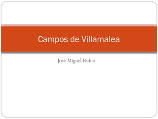 Campos de Villamalea

    José Miguel Rubio
 