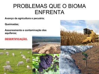 PROBLEMAS QUE O BIOMA ENFRENTA Avanço da agricultura e pecuária; Queimadas; Assoreamento e contaminação dos aquíferos; DESERTIFICAÇÃO. 