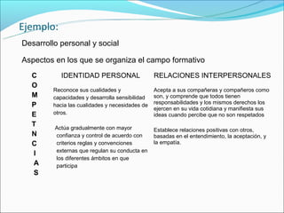Ejemplo:
Desarrollo personal y social

Aspectos en los que se organiza el campo formativo
  C         IDENTIDAD PERSONAL                   RELACIONES INTERPERSONALES
  O
         Reconoce sus cualidades y               Acepta a sus compañeras y compañeros como
  M      capacidades y desarrolla sensibilidad   son, y comprende que todos tienen
  P      hacia las cualidades y necesidades de   responsabilidades y los mismos derechos los
                                                 ejercen en su vida cotidiana y manifiesta sus
  E      otros.                                  ideas cuando percibe que no son respetados
  T      Actúa gradualmente con mayor            Establece relaciones positivas con otros,
  N      confianza y control de acuerdo con      basadas en el entendimiento, la aceptación, y
  C      criterios reglas y convenciones         la empatía.
         externas que regulan su conducta en
  I
         los diferentes ámbitos en que
  A      participa
  S
 