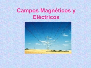 Campos Magnéticos y
    Eléctricos
 