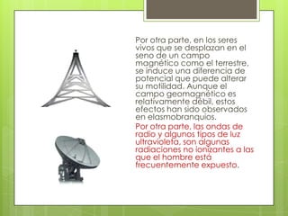 Por otra parte, en los seres
vivos que se desplazan en el
seno de un campo
magnético como el terrestre,
se induce una diferencia de
potencial que puede alterar
su motilidad. Aunque el
campo geomagnético es
relativamente débil, estos
efectos han sido observados
en elasmobranquios.
Por otra parte, las ondas de
radio y algunos tipos de luz
ultravioleta, son algunas
radiaciones no ionizantes a las
que el hombre está
frecuentemente expuesto.
 