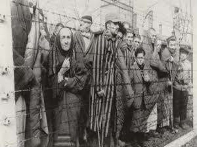 Resultado de imagem para furgão dos campos de concentração