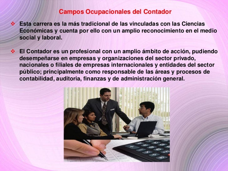 Campos ocupacionales del contador i