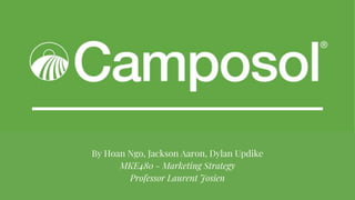 Camposol Case Analysis
By Hoan Ngo, Jackson Aaron, Dylan Updike
MKE480 - Marketing Strategy
Professor Laurent Josien
 