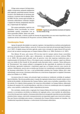 Campos Sulinos | Capítulo 6

O fogo nestes campos é de baixa intensidade e temperatura, passando rapidamente
pela vegetação, queimando apenas a biomassa aérea e não danificando as estruturas subterrâneas e as gemas nelas localizadas (Fidelis 2008). Por isso, mesmo após incêndios, as
estruturas subterrâneas continuam íntegras
e capazes de rebrotar, assegurando desta forma, a regeneração da vegetação.
Em campos pastejados, espécies com
xilopódios foram encontradas em menor
Figura 6.13 Fragmento de caule subterrâneo encontrado com freqüência
quantidade quando comparadas com as
nas áreas excluídas do fogo.
áreas queimadas (Fidelis, dados não publicados). Por outro lado, a rebrota a partir de rizomas de graminóides tem uma maior importância, principalmente devido à dominância de Paspalum notatum (Fidelis 2008).

Considerações finais
Apesar da grande diversidade em espécies vegetais e da importância econômica principalmente
para a pecuária dos Campos Sulinos, menos de 1% da sua área total está sob proteção legal (Overbeck
et al. 2007). O rápido avanço da frente agrícola, assim como a invasão do capim Annoni (Eragrostis
plana) são as maiores ameaças para os Campos Sulinos (Pillar et al. 2006, Overbeck et al. 2007).
Nos últimos 30 anos, pelo menos 25% da área total de campos nativos foram convertidos
em áreas de plantações de milho, soja e ultimamente, em plantações de árvores exóticas (Pillar
et al. 2006). Há uma grande pressão tanto do governo como das empresas madeireiras para a
implementação de florestas de Pinus e Eucalyptus para a produção de madeira e papel nos últimos
anos nos estado do Rio Grande do Sul, gerando muita discussão sobre o assunto. Vários defensores
do “florestamento” dos campos utilizam a propaganda da alta capacidade de seqüestro de carbono
das florestas, ignorando totalmente o importante papel que os Campos exercem como reserva de
carbono. Infelizmente, poucos são os estudos que levaram em consideração a produtividade primária
da biomassa subterrânea. Por isso, a real produtividade primária dos Campos Sulinos deve estar
subestimada, uma vez que a biomassa subterrânea em certas áreas chega quase a se igualar à biomassa
aérea (ver Fidelis et al. 2006).
As poucas áreas de campo sob proteção legal encontram-se totalmente excluídas de qualquer
tipo de distúrbio. Não há uma política para o manejo da vegetação destas áreas, levando muitas vezes à
perda da diversidade e da fisionomia dos Campos Sulinos, assim como a incêndios catastróficos e fora
de controle. Se o objetivo destes parques é de conservar a diversidade e os Campos Sulinos, elaboração
de planos de manejos é de crucial importância, onde deve se levar em consideração não só a vegetação
aérea, como também a subterrânea, dada a importância da mesma.
Em conclusão, estudos sobre a vegetação dos Campos Sulinos devem levar em consideração não
somente os mecanismos envolvidos na dinâmica da vegetação aérea, como também da subterrânea.
Como descrita aqui neste capítulo, a biomassa subterrânea tem uma grande importância na produtividade
primária destes campos, exercendo consequentemente um importante papel como reserva de carbono.
Para que futuras estratégias para manejo e restauração dos Campos Sulinos possam ser traçadas, é de
fundamental importância dinamizar o conhecimento da biomassa subterrânea.

98

 