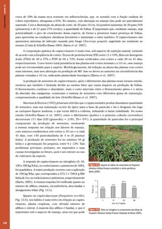 Campos Sulinos | Capítulo 12

cerca de 50% da massa seca somente em inflorescências, que, se somado com a fração caulinar do
colmo reprodutivo, ultrapassa a 65%. No entanto, com alteração no manejo isso pode ser parcialmente
superado. Com a diminuição da altura de corte, de 20 para 10 cm, foi possível aumentar, de 26 para 34%
(primavera) e de 21 para 27% (verão), a quantidade de folhas. É importante que, mediante manejo, seja
potencializado o pico de crescimento dessa espécie, de forma a promover maior presença de folhas,
para aproveitar as condições climáticas favoráveis e maximizar o valor nutritivo. O capim-virasoro não
apresentou sintomas de infecção causada pelo fungo Claviceps paspali, sugerindo ser resistente ao
mesmo (Costa & Scheffer-Basso 2003, Bárea et al. 2007). 	
A composição química do capim-virasoro é muito boa, sob aspecto de nutrição animal, variando
de acordo com a freqüência de cortes. Teores de proteína bruta (PB) entre 11 e 19%, fibra em detergente
ácido (FDA) de 40 a 47% e FDN de 66 a 72%, foram verificados com cortes a cada 30 ou 45 dias,
respectivamente. Como houve total persistência das plantas sob cortes mensais e a 10 cm, esse manejo
pode ser recomendado para a espécie. Morfologicamente, há redução na altura das plantas com cortes
mais intensos, mas sem alteração na produção de MS. Isso se deveu ao aumento na circunferência das
plantas cortadas a 10 cm, indicando plasticidade fenotípica (Bárea et al. 2007).
A produção de sementes do capim-virasoro, após o diferimento das plantas nesse mesmo estudo,
mostrou que também é limitada devido ao mesmo fator que causa impacto na produção de folhas.
O florescimento contínuo e abundante, mais o curto intervalo entre o florescimento pleno e o início
da abscisão das espiguetas, ocasionam a mistura de sementes com diferentes graus de maturação,
comprometendo a qualidade do lote (Scheffer-Basso et al. 2007).
Skerman & Riveros (1992) já haviam referido que o capim-melador produz abundante quantidade
de sementes, mas sua maturação ocorre do ápice para a base da panícula e há o desgrane tão logo
as cariopses fiquem maduras, o que torna difícil a colheita, induzindo à baixa viabilidade. No nosso
estudo (Scheffer-Basso et al. 2007), entre o diferimento (junho) e a primeira colheita (novembro)
decorreram 171 dias (GD (graus-dia) = 2185, Tb= 0ºC). A quantidade de panículas foi o principal
componente da produção de sementes, mostrando
a mesma resposta em relação aos fatores de manejo,
com maiores rendimentos sob cortes a 10 cm e a cada
45 dias, com 140 panículas/linha de 4 m (8 plantas/
linha). A produção de sementes foi no máximo 50 g/
linha e a germinação foi pequena, entre 6 e 12%. Tais
problemas precisam, portanto, ser superados e suas
causas investigadas no futuro, pois é um entrave ao uso
de cultivares da espécie.
A resposta do capim-virasoro ao nitrogênio (0, 50,
100 e 200 kg N/ha), no verão/outono e primavera de 2004,
foi quadrática. A maior produção ocorreu com a aplicação
de 100 kg N/ha, que correspondeu a 675,7 e 708,8 g MS/
linha de 4 m, no verão/outono e primavera, respectivamente
(Baréa, 2005). A mesma resposta foi verificada quanto ao
número de afilhos, estatura, circunferência, área basilar e
alongamento foliar (Fig. 12.5).
Quanto ao capim-das-roças (Paspalum urvillei,
Fig. 12.6), seu hábito é mais ereto em relação ao capimvirasoro, planta cespitosa, com elevado número de
afilhos e estival. A maioria dos afilhos é basilar, o que é
importante sob o aspecto de manejo, uma vez que pode

170

Figura 12.4 Aspecto do hábito de crescimento de Paspalum
dilatatum biótipo Virasoro submetido a cortes periódicos,
Baréa (2005).

Figura 12.5 Efeito do nitrogênio no comprimento das folhas de
Paspalum dilatatum biótipo Virasoro. Adaptado de Baréa (2005).

 