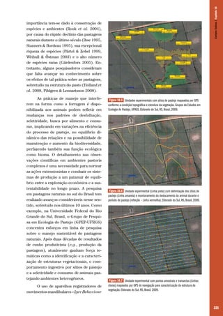 Campos Sulinos | Capítulo 16

importância tem-se dado à conservação de
espécies e ambientes (Rook et al. 2004),
por causa do rápido declínio das pastagens
naturais durante o último século (Ihse 1995,
Stanners & Bordeau 1995), sua excepcional
riqueza de espécies (Pärtel & Zobel 1999,
Weibull & Östman 2003) e o alto número
de espécies raras (Gärdenfors 2005). Entretanto, alguns pesquisadores consideram
que falta avançar no conhecimento sobre
os efeitos de tal prática sobre as pastagens,
sobretudo na estrutura do pasto (Holland et
al. 2008, Pihlgren & Lennartsson 2008).
As práticas de manejo que interferem na forma como a forragem é disponibilizada aos animais podem refletir em
mudanças nos padrões de desfolhação,
seletividade, busca por alimento e consumo, implicando em variações na eficiência
do processo de pastejo, no equilíbrio dinâmico das relações e na possibilidade de
manutenção e aumento da biodiversidade,
perfazendo também sua função ecológica
como bioma. O detalhamento nas observações científicas em ambientes pastoris
complexos é uma necessidade para nortear
as ações extensionistas e conduzir os sistemas de produção a um patamar de equilíbrio entre a exploração econômica e a sustentabilidade no longo prazo. A pesquisa
em pastagens naturais no sul do Brasil tem
realizado avanços consideráveis nesse sentido, sobretudo nos últimos 10 anos. Como
exemplo, na Universidade Federal do Rio
Grande do Sul, Brasil, o Grupo de Pesquisa em Ecologia do Pastejo (GPEP-UFRGS)
concentra esforços em linha de pesquisa
sobre o manejo sustentável de pastagens
naturais. Após duas décadas de resultados
de cunho produtivista (e.g., produção da
pastagem), atualmente ganham força temáticas como a identificação e a caracterização de estruturas vegetacionais, o comportamento ingestivo por sítios de pastejo
e a seletividade e consumo de animais pastejando ambientes heterogêneos.
O uso de aparelhos registradores de
movimentos mandibulares – Iger Behaviour

Figura 16.5 Unidades experimentais com sítios de pastejo mapeados por GPS
conforme a condição topográfica e estrutura da vegetação. Grupos de Estudos em
Ecologia do Pastejo, UFRGS, Eldorado do Sul, RS, Brasil, 2009.

Figura 16.6 Unidade experimental (Linha preta) com delimitação dos sítios de
pastejo (Linha amarela) e monitoramento do deslocamento do animal durante o
período de pastejo (refeição – Linha vermelha). Eldorado do Sul, RS, Brasil, 2009.

Figura 16.7 Unidade experimental com pontos amostrais e transectas (Linhas
claras) mapeados por GPS de navegação para caracterização da estrutura da
vegetação. Eldorado do Sul, RS, Brasil, 2009.

225

 
