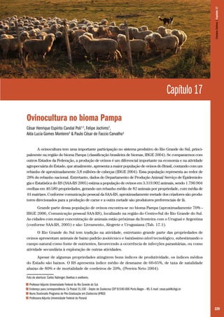 Campos Sulinos | Capítulo 17

Capítulo 17
Ovinocultura no bioma Pampa
César Henrique Espírito Candal Poli1,2, Felipe Jochims3,
Alda Lucia Gomes Monteiro4 & Paulo César de Faccio Carvalho¹
A ovinocultura tem uma importante participação no sistema produtivo do Rio Grande do Sul, principalmente na região do bioma Pampa (classificação brasileira de biomas, IBGE 2004). Se compararmos com
outros Estados da Federação, a produção de ovinos é um diferencial importante na economia e na atividade
agropecuária do Estado, que atualmente, apresenta a maior população de ovinos do Brasil, contando com um
rebanho de aproximadamente 3,8 milhões de cabeças (IBGE 2004). Essa população representa ao redor de
28% do rebanho nacional. Entretanto, dados do Departamento de Produção Animal/ Serviço de Epidemiologia e Estatística do RS (SAA-RS 2005) estima a população de ovinos em 3.319.902 animais, sendo 1.790.904
ovelhas em 40.589 propriedades, gerando um rebanho médio de 82 animais por propriedade, com média de
44 matrizes. Conforme comunicação pessoal da SAA-RS, aproximadamente metade dos criadores são produtores direcionados para a produção de carne e a outra metade são produtores preferenciais de lã.
Grande parte dessa população de ovinos encontra-se no bioma Pampa (aproximadamente 70% IBGE 2006, Comunicação pessoal SAA-RS), localizado na região do Centro-Sul do Rio Grande do Sul.
As cidades com maior concentração de animais estão próximas da fronteira com o Uruguai e Argentina
(conforme SAA-RS, 2005) e são: Livramento, Alegrete e Uruguaiana (Tab. 17.1).
O Rio Grande do Sul tem tradição na atividade, entretanto grande parte das propriedades de
ovinos apresentam animais de baixo padrão zootécnico e baixíssimo nível tecnológico, subestimando o
campo natural como fonte de nutrientes, favorecendo a ocorrência de infecções parasitárias, ou como
atividade secundária à exploração de outras atividades.
Apesar de algumas propriedades atingirem bons índices de produtividade, os índices médios
do Estado são baixos. O RS apresenta índice médio de desmame de 60-65%, de taxa de natalidade
abaixo de 80% e de mortalidade de cordeiros de 20%, (Pereira Neto 2004).
Foto de abertura: Carlos Nabinger. Ovelhas e ovelheiro.
1
2
3
4

Professor Adjunto Universidade Federal do Rio Grande do Sul.
Endereço para correspondência: Cx Postal 15.100 – Depto de Zootecnia CEP 91540-000 Porto Alegre – RS. E-mail: cesar.poli@ufrgs.br
Aluno Doutorado Programa de Pós-Graduação em Zootecnia UFRGS
Professora Adjunta Universidade Federal do Paraná

229

 