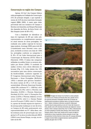 Apenas 453 km2 dos Campos Sulinos
estão protegidos em Unidades de Conservação
(UC) de proteção integral, o que equivale a
menos de 0,5% da área total desta formação
vegetal (MMA 2000). A maior parte deste
percentual está nos mosaicos de Campos e
floresta com Araucária, nos Parques Nacionais
dos Aparados da Serra, da Serra Geral e de
São Joaquim (norte do RS e SC).
Com a finalidade de identificar os
tipos de vegetação do RS que estão subrepresentados ou completamente ausentes
no atual sistema de áreas protegidas, foi
realizada uma análise regional de lacunas
(gap analysis; Jennings 2000) para todo RS
(considerando tanto florestas como campos), incluindo as áreas com mais de 1000
ha, protegidas conforme as categorias I,
II, III e IV da União Internacional para a
Conservação da Natureza (IUCN; Olson &
Dinerstein 1998). O status das categorias
utilizadas na análise foram os mesmos adotados por Stoms (2000). O resultado da
análise revelou cinco níveis diferentes de
lacunas (Fig. 2.3), todas abaixo dos 10%
necessários para uma efetiva conservação
da biodiversidade, conforme sugerido no
IV Congresso Internacional sobre Parques
Nacionais e Áreas Protegidas (McNeeley
1993) e adotado pelo governo brasileiro.
Os níveis variam de 0% a 7,1% de representatividade (Floresta Estacional Semidecidual (0%; nenhuma UC > 1000 ha): nível
1; Campos (0,14%): nível 2; Floresta com
Araucária (0,36%) e Floresta Estacional
Decidual (0,41%): nível 3; Formações Pioneiras (2,62%) e Floresta Atlântica stricto
sensu (3,61%): nível 4; e Savana Parque
Acacia-Prosopis (7,09%): nível 5). Portanto, apesar da elevada riqueza de espécies e
da ameaça pelas mudanças no uso da terra,
os Campos do RS estão praticamente sem
representatividade em UC. Além disso, não
há nenhuma área de preservação nas categorias I a IV na área reconhecida pelo IBGE
(2004) como bioma Pampa, ou seja, na metade sul do RS.

a

Campos Sulinos | Capítulo 2

Conservação na região dos Campos

b

c

Figura 2.4 Paisagens dos Campos do sul do Brasil. a) campo pastejado
em mosaicos com a Floresta com Araucária, Bom Jesus, planalto norte do
RS. A gramínea dominante é Andropogon lateralis Ness. As florestas são
freqüentemente encontradas em pequenos vales ou ao longo das escarpas.
Foto: I. I. Boldrini. b) Arbustos de Baccharis uncinella DC. (Asteraceae)
invadindo áreas de campo excluído por cerca de 15 anos, São Francisco de
Paula, planalto norte do RS. Gramíneas dominantes são Sorghastrum setosum
(Arechav.) Herter e Andropon lateralis Ness. Foto: V. D. Pillar. c) Remanescentes
de campos pastejados de Aristida jubata (Arechav.) Herter (barba-de-bode,
Poaceae), próximo a Passo Fundo, noroeste do RS. A maioria da região foi
transformada em áreas de agricultura intensiva (produção de soja e trigo,
principalmente). Na frente, Baccharis trimera (Less.) DC. (carqueja, Asteraceae)
e Eryngium horridum Malme (caraguatá, Apiaceae), espécies geralmente
rejeitadas pelo gado. Foto: V. D. Pillar.

37

 