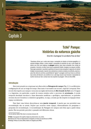 Campos Sulinos | Capítulo 3

Capítulo 3
Tchê1 Pampa:
histórias da natureza gaúcha
Dirce M. A. Suertegaray2 & Luís Alberto Pires da Silva3
“Ousaríamos afirmar que o andar ereto lançou o antropóide em direção ao horizonte geográfico e à
evolução biológica. Afastou o centro receptor e processador de estímulos do solo e como bípede lhe
ofertou uma linha mais longínqua da paisagem savânica, berço desse antropóide. Uma miríade de
sensações o horizonte, ao seduzir esse animal ousadamente bípede, impregnou seu pequeno encéfalo.
Patas agora apreendem e vasculham superfícies em busca de novas sensações. A carga extra de material
biológico neuroprocessador, impondo mais subsistemas ao sistema complexo já constituído, propiciou a
pata/mão, liberta do caminhar, a possibilidade de “agarrar” a paisagem, sorvê-la por horas ou confrontar
duas rochas até liberarem uma centelha de luz e pelo fogo consumir esse horizonte. A necessidade da
escolha marcará por todo o sempre esse novo arquiteto de paisagens”. (Pires da Silva 2008)

Introdução
Este texto propõe-se a expressar um olhar sobre as Paisagens de campo (Fig. 3.1) e as diferentes
configurações de uso ao longo do tempo. Para tanto é necessário um recorte, espacial e temporal. Este
recorte diz respeito aos campos e seus usos na região da fronteira do Rio Grande do Sul com o Uruguai
e a Argentina, em particular, a partir de nossos estudos sobre o processo de arenização. A escala
temporal abordada vincula-se a duas dimensões analíticas: a geológica, especialmente, os períodos
recentes da era Cenozóica e a histórico–geográfica, ou seja, a escala que diz respeito à ocupação desse
espaço socialmente.
Para fazer essa leitura descortina-se uma janela temporal. A janela que nos permitirá essa
reconstituição são os areais, feições que ocorrem nesse espaço, desencadeantes de pesquisas e
propostas de reconstituição. A reconstituição da Paisagem de campos será feita aqui a partir dessa
janela. Ela nos permite perceber o passado sob diferentes óticas.
Foto de abertura: Valério Pillar. Areal no município de Quarai, RS.
1
2
3

42

Tchê, do tupi-guarani Chê, significa relação de pertencimento, meu, minha.
Professora Dra. Titular do Departamento de Geografia do Instituto de Geociências da UFRGS.
Biólogo, Professor do Ensino Médio, Mestre em Geografia pela UFRGS.

 