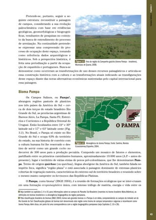Campos Sulinos | Capítulo 3

Pretende-se, portanto, seguir a seguinte estrutura: reconstituir a paisagem
de campos, considerando a sua evolução
paleoclimática com base em evidências
geológicas, geomorfológicas e biogeográficas, resultantes de pesquisas no contexto da busca de entendimento do processo
de arenização. Na continuidade pretendese expressar uma compreensão do processo de ocupação deste espaço, tomando
como referência dados arqueológicos e
históricos. Sob a perspectiva histórica, é
Figura 3.1 Foto da região da Campanha gaúcha (bioma Pampa – brasileiro),
feita uma periodização a partir da ocupaMunicípio de Quarai, 2008.
ção de espanhóis e portugueses. Busca-se
demonstrar como ocorreram as transformações de uso desses recursos paisagísticos e articula-se
essa construção histórica com a cultura e as transformações atuais indicando as transfigurações
desse espaço diante das novas alternativas econômicas sustentadas pelo capital internacional para
essa paisagem.

Bioma Pampa
Os Campos Sulinos, ou Pampa4,
abrangem regiões pastoris de planícies
nos três países da América do Sul – cerca de dois terços do estado brasileiro Rio
Grande do Sul, as províncias argentinas de
Buenos Aires, La Pampa, Santa Fé, Entrerríos e Corrientes e a República Oriental do
Uruguai. Estão localizados entre 34º e 30º
latitude sul e 57° e 63° latitude oeste (Fig.
3.2). No Brasil, o Pampa só existe no Rio
Grande do Sul e ocupa 63% do território
do estado, na sua historia de convívio com
Figura 3.2 Abrangência do bioma Pampa, Fonte: Santino, Revista
a cultura humana foi lhe reservado o desEcossistemas/Espanha, 2004.
tino de servir como um grande cocho no
decorrer de 300 anos para a produção pecuária. Compondo um mosaico de fatores e elementos,
partilhado entre os primeiros caminhantes humanos, aproximadamente 10.000 anos (A.P – antes do
.
presente), lugar e território de várias etnias de povos pré-colombianos, que lhe denominaram Pampa. Termo de origem quíchua (ou quechua), língua aborígene da América do Sul, também falada no
império Inca, significa “região plana” e está associada à paisagem dominante de extensas planícies
cobertas de vegetação rasteira, características do extremo sul do território brasileiro e reunindo sobre
o mesmo manto campestre os hermanos das Repúblicas Platinas.
O Pampa, como bioma5 (IBGE 2004), é a reunião de formações ecológicas que se inter-cruzam
em uma formação ecopaisagística única, com intenso tráfego de matéria, energia e vida entre os
Veja também os capítulos 2, 4 e 10, para informações sobre os campos do Planalto Sul-Brasileiro (inseridos no bioma brasileiro Mata Atlântica), as
definições de biomas brasileiros e a abrangência biogeográfica da região pampeana.
5 Pela classificação brasileira de biomas (IBGE 2004), temos seis grandes biomas e o Pampa é um deles, compreendendo os campos da metade sul do
Rio Grande do Sul. Classificações globais de biomas tem denominado esta região como bioma de campos temperados e algumas a reconhecem como
bioma Pampa. Além disso, em parte há uma correspondência com a região biogeográfica pampeana (veja Capítulos 2, 10 e 28).
4

43

 