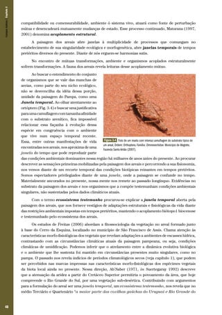 Campos Sulinos | Capítulo 3

compatibilidade ou comensurabilidade, ambiente ó sistema vivo, atuará como fonte de perturbação
mútua e desencadeará mutuamente mudanças de estado. Esse processo continuado, Maturana (1997,
2001) denomina acoplamento estrutural.
A paisagem dos areais abre janelas à multiplicidade de processos que comungam no
estabelecimento de sua singularidade ecológica e morfogenética, abre janelas temporais de tempos
pretéritos diversos do presente. Diante de nós erguem-se harmonias sutis.
No encontro de mútuas transformações, ambiente e organismos acoplados estruturalmente
sofrem transformações. A fauna dos areais revela leituras desse acoplamento mútuo.
Ao buscar o entendimento do conjunto
de organismos que se vale das manchas de
areias, como parte do seu nicho ecológico,
não se desvencilha da idéia dessa porção,
unidade da paisagem do Pampa, como uma
Janela temporal. Ao olhar atentamente ao
ortóptero (Fig. 3.4) e buscar uma justificativa
para uma camuflagem com tamanha afinidade
com o substrato arenítico, fica impossível
relacionar essa façanha à evolução dessa
espécie em congruência com o ambiente
que vive num espaço temporal recente.
Figura 3.4 Foto de um inseto com intensa camuflagem do substrato típico de
Essa, entre outras manifestações de vida
um areal, Ordem: Orthoptera, Família: Ommexechidae. Município de Alegrete,
encontradas nos areais, nos aproxima de uma
Fazenda Santo Antão (2007).
janela do tempo que pode reproduzir parte
das condições ambientais dominantes nessa região há milhares de anos antes do presente. Ao procurar
descrever as sensações primeiras mobilizadas pela paisagem dos areais e percorrendo a sua fisionomia,
nos vemos diante de um recorte temporal das condições biotípicas reinantes em tempos pretéritos.
Somos espectadores privilegiados diante de uma janela, onde a paisagem se confunde no tempo.
Materialmente ancorados no presente, nossa mente nos remete ao passado longínquo. Evidências no
substrato da paisagem dos areais e nos organismos que a compõe testemunham condições ambientais
singulares, não sustentadas pelos dados climáticos atuais.
Com o termo ecossistema testemunho procurou-se explicar a janela temporal aberta pela
paisagem dos areais, que nos fornece vestígios de adaptações estruturais e fisiológicas da vida diante
das restrições ambientais impostas em tempos pretéritos, mantendo o acoplamento biótopo1 biocenose
e testemunhado pelo ecossistema dos areais.
Os estudos de Freitas (2006) abordam a fitossociologia da vegetação no areal formado junto
à base do Cerro da Esquina, localizado no município de São Francisco de Assis. Chama atenção às
características morfo-fisiológicas dos vegetais que revelam adaptações a ambientes de escassez hídrica,
contrastando com as circunstâncias climáticas atuais da paisagem pampeana, ou seja, condições
climáticas de umidificação. Podemos inferir que o atrelamento entre a dinâmica evolutiva biológica
e o ambiente que lhe sustenta foi mantido em circunstâncias presentes muito singulares, como no
pampa. O passado nos revela indícios de períodos climatológicos secos (veja capítulo 1), que podem
ser percebidos nas marcas impressas nas características morfo-fisiológicas dos espécimes vegetais
da biota local ainda no presente. Nessa direção, Ab’Saber (1971, in Suertegaray 1992) descreve
que a atenuação da aridez a partir do Cretáceo Superior permitiria o povoamento da área, que hoje
compreende o Rio Grande do Sul, por uma vegetação sub-desértica. Contribuindo com argumentos
para a formulação do areal ser uma janela temporal, um ecossistema testemunho, nos revela que no
médio Terciário e Quartenário “a maior parte das coxilhas gaúchas do Uruguai e Rio Grande do

48

 