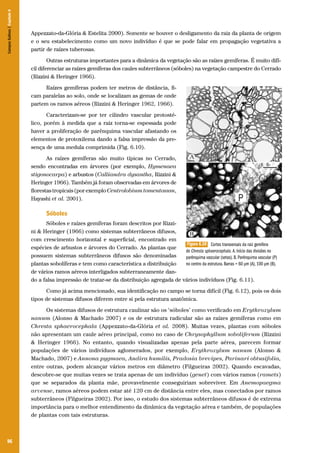 Campos Sulinos | Capítulo 6

Appezzato-da-Glória & Estelita 2000). Somente se houver o desligamento da raiz da planta de origem
e o seu estabelecimento como um novo indivíduo é que se pode falar em propagação vegetativa a
partir de raízes tuberosas.
Outras estruturas importantes para a dinâmica da vegetação são as raízes gemíferas. É muito difícil diferenciar as raízes gemíferas dos caules subterrâneos (sóboles) na vegetação campestre do Cerrado
(Rizzini & Heringer 1966).
Raízes gemíferas podem ter metros de distância, ficam paralelas ao solo, onde se localizam as gemas de onde
partem os ramos aéreos (Rizzini & Heringer 1962, 1966).
Caracterizam-se por ter cilindro vascular protostélico, porém à medida que a raiz torna-se espessada pode
haver a proliferação de parênquima vascular afastando os
elementos de protoxilema dando a falsa impressão da presença de uma medula comprimida (Fig. 6.10).
As raízes gemíferas são muito típicas no Cerrado,
sendo encontradas em árvores (por exemplo, Hymenaea
stigonocarpa) e arbustos (Calliandra dysantha, Rizzini &
Heringer 1966). Também já foram observadas em árvores de
florestas tropicais (por exemplo Centrolobium tomentosum,
Hayashi et al. 2001).

Sóboles
Sóboles e raízes gemíferas foram descritos por Rizzini & Heringer (1966) como sistemas subterrâneos difusos,
com crescimento horizontal e superficial, encontrado em
Figura 6.10 Cortes transversais da raiz gemífera
espécies de arbustos e árvores do Cerrado. As plantas que
de Chresta sphaerocephala. A. Início das divisões no
possuem sistemas subterrâneos difusos são denominadas
parênquima vascular (setas). B. Parênquima vascular (P)
no centro da estrutura. Barras = 60 µm (A), 100 µm (B).
plantas sobolíferas e tem como característica a distribuição
de vários ramos aéreos interligados subterraneamente dando a falsa impressão de tratar-se da distribuição agregada de vários indivíduos (Fig. 6.11).
Como já acima mencionado, sua identificação no campo se torna difícil (Fig. 6.12), pois os dois
tipos de sistemas difusos diferem entre si pela estrutura anatômica.
Os sistemas difusos de estrutura caulinar são os ‘sóboles’ como verificado em Erythroxylum
nanum (Alonso & Machado 2007) e os de estrutura radicular são as raízes gemíferas como em
Chresta sphaerocephala (Appezzato-da-Glória et al. 2008). Muitas vezes, plantas com sóboles
não apresentam um caule aéreo principal, como no caso de Chrysophyllum soboliferum (Rizzini
& Heringer 1966). No entanto, quando visualizadas apenas pela parte aérea, parecem formar
populações de vários indivíduos aglomerados, por exemplo, Erythroxylum nanum (Alonso &
Machado, 2007) e Annona pygmaea, Andira humilis, Pradosia brevipes, Parinari obtusifolia,
entre outras, podem alcançar vários metros em diâmetro (Filgueiras 2002). Quando escavadas,
descobre-se que muitas vezes se trata apenas de um indivíduo (genet) com vários ramos (ramets)
que se separados da planta mãe, provavelmente conseguiriam sobreviver. Em Anemopaegma
arvense, ramos aéreos podem estar até 120 cm de distância entre eles, mas conectados por ramos
subterrâneos (Filgueiras 2002). Por isso, o estudo dos sistemas subterrâneos difusos é de extrema
importância para o melhor entendimento da dinâmica da vegetação aérea e também, de populações
de plantas com tais estruturas.

96

 