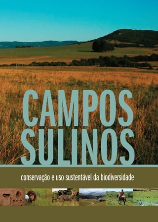 conservação e uso sustentável da biodiversidade
CAMPOS
SULINOS
 