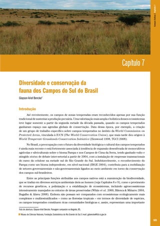 101
CamposSulinos|Capítulo7
Capítulo 7
Diversidade e conservação da
fauna dos Campos do Sul do Brasil
Glayson Ariel Bencke1
Introdução
Até recentemente, os campos de zonas temperadas eram reconhecidos apenas por sua função
tradicionaldesustentaraproduçãopecuária.Umavalorizaçãomaisamplaeholísticadessesecossistemas
teve lugar somente a partir da segunda metade da década passada, quando os campos temperados
ganharam espaço nas agendas globais de conservação. Data dessa época, por exemplo, a criação
de um grupo de trabalho específico sobre campos temperados no âmbito da World Commission on
Protected Areas, vinculada à IUCN (The World Conservation Union), que mais tarde deu origem à
World Temperate Grasslands Conservation Initiative (Henwood 1998, TGCI 2008).
No Brasil, a preocupação com o futuro da diversidade biológica e cultural dos campos temperados
é ainda mais recente e está fortemente associada à tendência de expansão desenfreada de monocultivos
agrícolas e silviculturais sobre o bioma Pampa e nos Campos de Cima da Serra, tendo ganhado vulto e
atingido status de debate inter-setorial a partir de 2004, com a instalação de empresas transnacionais
do ramo da celulose na metade sul do Rio Grande do Sul. Indubitavelmente, o reconhecimento do
Pampa como um bioma independente, em nível nacional (IBGE 2004), contribuiu para a mobilização
de setores governamentais e não-governamentais ligados ao meio ambiente em torno da conservação
dos campos sul-brasileiros.
Entre as principais funções atribuídas aos campos nativos está a manutenção da biodiversidade,
que se traduz em diversos serviços ambientais úteis ao homem (veja Capítulos 8 e 9), como o provimento
de recursos genéticos, a polinização e a estabilização de ecossistemas, incluindo agroecossistemas
intensivamente manejados no entorno de áreas preservadas (White et al. 2000, Bilenca & Miñarro 2004,
Bugalho & Abreu 2008). Embora não possam ser comparados com ecossistemas ecologicamente mais
complexos e multiestratificados – como as florestas tropicais – em termos de diversidade de espécies,
os campos temperados constituem ricas comunidades biológicas e, assim, representam uma importante
Foto de abertura: Glayson Ariel Bencke. Paisagem campestre no Alegrete, RS.
1 Museu de Ciências Naturais, Fundação Zoobotânica do Rio Grande do Sul. E-mail: gabencke@fzb.rs.gov.br
 