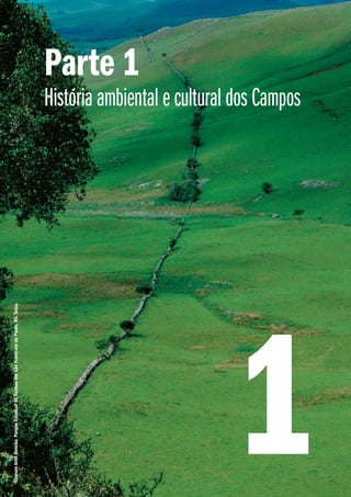 Parte 1
História ambiental e cultural dos Campos
GlaysonArielBencke.ParqueEstadualdeTainhasemSãoFranciscodePaula,RS.Taipa.
1
 