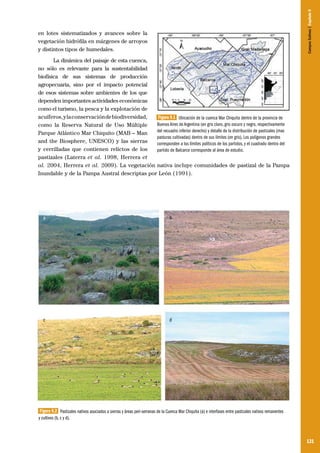 131
en lotes sistematizados y avances sobre la
vegetación hidrófila en márgenes de arroyos
y distintos tipos de humedales.
La dinámica del paisaje de esta cuenca,
no sólo es relevante para la sustentabilidad
biofísica de sus sistemas de producción
agropecuaria, sino por el impacto potencial
de esos sistemas sobre ambientes de los que
dependen importantes actividades económicas
como el turismo, la pesca y la explotación de
acuíferos,ylaconservacióndebiodiversidad,
como la Reserva Natural de Uso Múltiple
Parque Atlántico Mar Chiquito (MAB – Man
and the Biosphere, UNESCO) y las sierras
y cerrilladas que contienen relictos de los
pastizales (Laterra et al. 1998, Herrera et
al. 2004, Herrera et al. 2009). La vegetación nativa incluye comunidades de pastizal de la Pampa
Inundable y de la Pampa Austral descriptas por León (1991).
Figura 9.1 Ubicación de la cuenca Mar Chiquita dentro de la provincia de
Buenos Aires de Argentina (en gris claro, gris oscuro y negro, respectivamente
del recuadro inferior derecho) y detalle de la distribución de pastizales (mas
pasturas cultivadas) dentro de sus límites (en gris). Los polígonos grandes
corresponden a los límites políticos de los partidos, y el cuadrado dentro del
partido de Balcarce corresponde al área de estudio.
Figura 9.2 Pastizales nativos asociados a sierras y áreas peri-serranas de la Cuenca Mar Chiquita (a) e interfases entre pastizales nativos remanentes
y cultivos (b, c y d).
a b
c d
CamposSulinos|Capítulo9
 