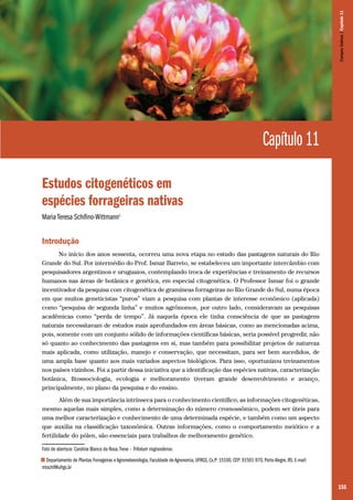 155
Capítulo 11
Estudos citogenéticos em
espécies forrageiras nativas
Maria Teresa Schifino-Wittmann1
Introdução
No início dos anos sessenta, ocorreu uma nova etapa no estudo das pastagens naturais do Rio
Grande do Sul. Por intermédio do Prof. Ismar Barreto, se estabeleceu um importante intercâmbio com
pesquisadores argentinos e uruguaios, contemplando troca de experiências e treinamento de recursos
humanos nas áreas de botânica e genética, em especial citogenética. O Professor Ismar foi o grande
incentivador da pesquisa com citogenética de gramíneas forrageiras no Rio Grande do Sul, numa época
em que muitos geneticistas “puros” viam a pesquisa com plantas de interesse econômico (aplicada)
como “pesquisa de segunda linha” e muitos agrônomos, por outro lado, consideravam as pesquisas
acadêmicas como “perda de tempo”. Já naquela época ele tinha consciência de que as pastagens
naturais necessitavam de estudos mais aprofundados em áreas básicas, como as mencionadas acima,
pois, somente com um conjunto sólido de informações científicas básicas, seria possível progredir, não
só quanto ao conhecimento das pastagens em si, mas também para possibilitar projetos de natureza
mais aplicada, como utilização, manejo e conservação, que necessitam, para ser bem sucedidos, de
uma ampla base quanto aos mais variados aspectos biológicos. Para isso, oportunizou treinamentos
nos países vizinhos. Foi a partir dessa iniciativa que a identificação das espécies nativas, caracterização
botânica, fitossociologia, ecologia e melhoramento tiveram grande desenvolvimento e avanço,
principalmente, no plano da pesquisa e do ensino.
Além de sua importância intrínseca para o conhecimento científico, as informações citogenéticas,
mesmo aquelas mais simples, como a determinação do número cromossômico, podem ser úteis para
uma melhor caracterização e conhecimento de uma determinada espécie, e também como um aspecto
que auxilia na classificação taxonômica. Outras informações, como o comportamento meiótico e a
fertilidade do pólen, são essenciais para trabalhos de melhoramento genético.
Foto de abertura: Carolina Blanco da Rosa.Trevo – Trifolium riograndense.
1 Departamento de Plantas Forrageiras e Agrometeorologia, Faculdade de Agronomia, UFRGS, Cx.P: 15100, CEP: 91501-970, Porto Alegre, RS. E-mail:
mtschif@ufrgs.br
CamposSulinos|Capítulo11
 