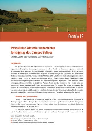 163
Capítulo 12
Paspalum e Adesmia: importantes
forrageiras dos Campos Sulinos
Simone M. Scheffer-Basso1
, Karinne Baréa2
& Aino Victor Ávila Jacques3
Introdução
Os gêneros Adesmia DC. (Fabaceae) e Paspalum L. (Poaceae) são a “elite” das leguminosas
e gramíneas forrageiras das pastagens naturais do sul do Brasil e poderiam ser objetos de uma vida
de pesquisa. Neste capítulo são apresentadas informações sobre algumas espécies desses gêneros,
oriundas de dissertações de mestrado do Programa de Pós-graduação em Agronomia da Universidade
de Passo Fundo (Costa 2002, Vendruscolo 2003, Bárea 2005), da tese de doutorado da primeira autora
(Scheffer-Basso 1999) e de trabalhos de iniciação científica e experimentação agrícola desenvolvidos
por estudantes da graduação dos Cursos de Ciências Biológicas e Agronomia. Estes trabalhos foram
principalmente desenvolvidos na região do Planalto Médio do Rio Grande do Sul – região esta que
atualmente possui apenas resquícios de pastagens naturais. Na maioria das vezes, as espécies dos
campos do Planalto Médio são encontradas apenas nas margens de rodovias, são exemplares de valiosas
espécies, seja pelo potencial forrageiro (econômico) seja pelo valor de conservação da biodiversidade.
Algumas das espécies com potencial forrageiro, de Adesmia e Paspalum, são abordadas a seguir.
Adesmia: para que te quero?
Temos 17 espécies nativas desse gênero no sul do Brasil (Miotto & Leitão Filho 1993), que se
distinguem pelo hábito e duração de vida, o que é extremamente significativo para plantas forrageiras.
São referidas como “babosas”, mas é preferível não utilizar essa denominação em virtude da babosa
medicinal ou cosmética (Aloe vera L.).
Na região do Planalto Médio são (eram) encontradas com mais freqüência A. araujoi Burk. e A.
tristis Vogel. Iniciamos nossos trabalhos com o gênero, em Passo Fundo, com enfoque na anatomia de
Foto de abertura: Valério Pillar. Serra do Caverá, RS.
1 Faculdade de Agronomia, Universidade de Passo Fundo. E-mail: sbasso@upf.br
2 Consultoria Ambiental. E-mail: jbarea@brturbo.com.br
3 Faculdade de Agronomia, Universidade Federal do Rio Grande do Sul. E-mail: aino@ufrgs.br
CamposSulinos|Capítulo12
 
