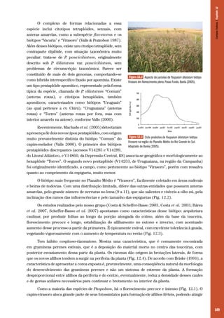 169
O complexo de formas relacionadas a essa
espécie inclui citotipos tetraplóides, sexuais, com
anteras amarelas, como a subespécie flavescens e os
biótipos “Vacaria” e “Virasoro” (Valls & Pozzobon 1987).
Além desses biótipos, existe um citotipo tetraplóide, sem
contraparte diplóide, com situação taxonômica muito
peculiar: trata-se de P. pauciciliatum, originalmente
descrito sob P. dilatatum var. pauciciliatum, sem
problemas de circunscrição taxonômica. Parece ser
constituído de mais de dois genomas, comportando-se
como híbrido interespecífico fixado por apomixia. Existe
um tipo pentaplóide apomítico, representado pela forma
típica da espécie, chamada de P. dilatatum “Comum”
(anteras roxas), e citotipos hexaplóides, também
apomíticos, caracterizados como biótipos “Uruguaio”
(ao qual pertence a cv. Chirú), “Uruguaiana” (anteras
roxas) e “Torres” (anteras roxas por fora, mas com
interior amarelo na antese), conforme Valls (2000).
Recentemente, Machado et al. (2005) detectaram
a presença de dois novos tipos pentaplóides, com origem
muito provavelmente distinta do biótipo “Comum” do
capim-melador (Valls 2000). O primeiro dos biótipos
pentaplóides discrepantes (acessos V14285 e V14289,
do Litoral Atlântico, e V14860, da Depressão Central, RS) associa-se geográfica e morfologicamente ao
hexaplóide “Torres”. O segundo novo pentaplóide (V14253, de Uruguaiana, na região da Campanha)
foi originalmente identificado, a campo, como pertencente ao biótipo “Virasoro”, porém com ressalva
quanto ao comprimento da espigueta, muito menor.
O biótipo mais frequente no Planalto Médio é “Virasoro”, facilmente coletado em áreas ruderais
e beiras de rodovias. Com uma distribuição limitada, difere das outras entidades que possuem anteras
amarelas, pelo grande número de nervuras no lema (9 a 11), que são salientes e visíveis a olho nú, pela
inclinação dos ramos das inflorescências e pelo tamanho das espiguetas (Fig. 12.2).
Os estudos realizados pelo nosso grupo (Costa & Scheffer-Basso 2003, Costa et al. 2003, Bárea
et al. 2007, Scheffer-Basso et al. 2007) apontaram como características desse biótipo: arquitetura
caulinar, por produzir folhas ao longo da porção alongada do colmo, além da base da touceira,
florescimento precoce e longo, estabilização do afilhamento no outono e inverno, com acentuado
aumento desse processo a partir da primavera. É tipicamente estival, com excelente tolerância à geada,
vegetando vigorosamente com o aumento de temperatura no verão (Fig. 12.3).
Tem hábito cespitoso-rizomatoso. Mostra uma característica, que é comumente encontrada
em gramíneas perenes estivais, que é a deposição do material morto no centro das touceiras, com
posterior esvaziamento dessa parte da planta. Os rizomas dão origem às brotações laterais, de forma
que os novos afilhos tendem a surgir na periferia da planta (Fig. 12.4). De acordo com Briske (1991), a
característica de apresentar a coroa exposta é, provavelmente, uma conseqüência natural da morfologia
do desenvolvimento das gramíneas perenes e não um sintoma de estresse da planta. A formação
desproporcional entre afilhos da periferia e do centro, eventualmente, reduz a densidade desses caules
e de gemas axilares necessários para continuar o brotamento no interior da planta.
Como a maioria das espécies de Paspalum, há o florescimento precoce e intenso (Fig. 12.1). O
capim-virasoro aloca grande parte de seus fotossintatos para formação de afilhos férteis, podendo atingir
Figura 12.2 Aspecto de parcelas de Paspalum dilatatum biótipo
Virasoro em florescimento pleno.Passo Fundo.Baréa (2005).
Figura 12.3 Ciclo produtivo de Paspalum dilatatum biótipo
Virasoro na região do Planalto Médio do Rio Grande do Sul.
Adaptado de Baréa (2005).
CamposSulinos|Capítulo12
 