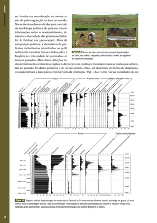 16
ser levadas em consideração na reconstru-
ção da paleovegetação da área em estudo.
Novas técnicas desenvolvidas para o estudo
da morfologia polínica de poáceas trazem
informações sobre o desenvolvimento, di-
nâmica e diversidade das gramíneas (Schü-
ler & Behling em preparação). Além da
composição polínica, a abundância de par-
tículas carbonizadas encontradas no perfil
sedimentar estudado fornece dados sobre a
freqüência e intensidade de queimadas em
tempos passados. Além disso, datações ra-
diocarbônicas dos sedimentos orgânicos fornecem um controle cronológico para as mudanças ambien-
tais no passado. Os dados polínicos e de carvão podem, então, ser ilustrados em forma de diagramas,
os quais formam a base para a reconstrução da vegetação (Fig. 1.4a e 1.4b). Várias localidades do sul
Figura 1.3 Técnica de coleta de testemunho para estudo palinológico:
ao fundo, uma turfeira; à esquerda, coletor Russel; à direita, um segmento
do testemunho amostrado.
Figura 1.4 Diagrama polínico de percentagem do testemunho de Cambará do Sul mostrando os diferentes táxons e a ecologia dos grupos (a) assim
como a soma de percentagem polínica e taxa de concentração e acumulação de partículas carbonizadas (b), incluindo a escala de tempo (anos
calibrados antes do presente) e as zonas polínicas. Para maiores informações veja também Behling et al. (2004).
CamposSulinos|Capítulo1
 