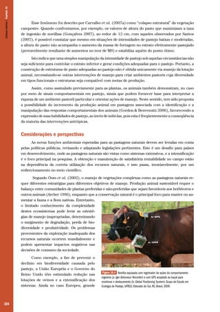 224
Esse fenômeno foi descrito por Carvalho et al. (2007a) como “colapso estrutural” da vegetação
campestre. Quando confrontamos, por exemplo, os valores de altura do pasto que maximizam a taxa
de ingestão de novilhas (Gonçalves 2007), ao redor de 12 cm, com aqueles observados por Santos
(2007), é possível constatar que mesmo em situações de intensidades de pastejo baixas e moderadas,
a altura do pasto não acompanha o aumento da massa de forragem no estrato efetivamente pastejado
(provavelmente resultante de aumentos no teor de MS) e estabiliza aquém do ponto ótimo.
Isto indica que uma simples manipulação da intensidade de pastejo sob aquelas circunstâncias não
seja suficiente para controlar o estrato inferior e gerar condições adequadas para o pastejo. Portanto, a
construção de estruturas de pasto adequadas ao pastejo não é obtida unicamente via manejo da lotação
animal, necessitando-se outras intervenções de manejo para criar ambientes pastoris cuja diversidade
em tipos funcionais e estruturas seja compatível com metas de produção.
Assim, como assinalado previamente para as plantas, os animais também demonstram, no caso
por meio de sinais comportamentais em pastejo, sinais que podem fornecer base para interpretar a
riqueza de um ambiente pastoril particular e orientar ações de manejo. Neste sentido, tem sido proposta
a possibilidade do incremento da produção animal em pastagens associada com a identificação e a
manipulação das respostas comportamentais dos animais (Gordon & Benvenutti 2006), favorecendo a
expressão de suas habilidades de pastejo, ao invés de inibi-las, pois esta é freqüentemente a conseqüência
da maioria das intervenções antrópicas.
Considerações e perspectivas
As novas funções ambientais esperadas para as pastagens naturais devem ser levadas em conta
pelas políticas públicas, revisando e adaptando legislações pertinentes. Este é um desafio para países
em desenvolvimento, onde as pastagens naturais são vistas como sistemas extensivos, e a intensificação
é o foco principal na pesquisa. A obtenção e manutenção de satisfatória rentabilidade no campo estão
na dependência da correta utilização dos recursos naturais, e isso passa, invariavelmente, por um
redirecionamento no meio científico.
Segundo Oom et al. (2002), o manejo de vegetações complexas como as pastagens naturais re-
quer diferentes estratégias para diferentes objetivos de manejo. Produção animal sustentável requer o
balanço entre comunidades de plantas preferidas e não-preferidas que sejam favoráveis aos herbívoros e
outros animais (Archer 1996), enquanto que a conservação natural é o principal foco para manter ou au-
mentar a fauna e a flora nativas. Entretanto,
o limitado conhecimento da complexidade
destes ecossistemas pode levar as estraté-
gias de manejo inapropriadas, determinando
o surgimento de degradação, perda de bio-
diversidade e produtividade. Os problemas
provenientes da exploração inadequada dos
recursos naturais ocorrem mundialmente e
podem apresentar impactos negativos nas
decisões de consumo da sociedade.
Como exemplo, a fim de prevenir o
declínio em biodiversidade causada pelo
pastejo, a União Européia e o Governo do
Reino Unido têm estimulado redução nas
lotações de ovinos e a extensificação dos
sistemas. Ainda no caso Europeu, grande
Figura 16.4 Novilha equipada com registrador de ações do comportamento
ingestivo (a. Iger Behaviour Recorder) e com GPS acoplado ao buçal para
monitorar o deslocamento (b. Global Positioning System). Grupo de Estudo em
Ecologia do Pastejo, UFRGS, Eldorado do Sul, RS, Brasil, 2009.
CamposSulinos|Capítulo16
 