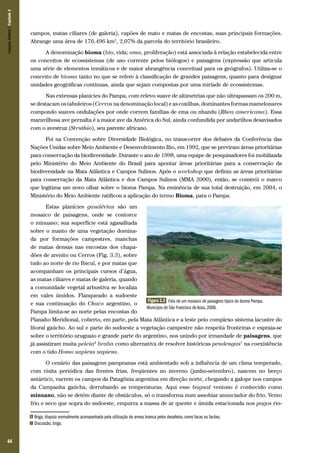44
campos, matas ciliares (de galeria), capões de mato e matas de encostas, suas principais formações.
Abrange uma área de 176.496 km2
, 2,07% da parcela do território brasileiro.
A denominação bioma (bio, vida; oma, proliferação) está associada à relação estabelecida entre
os conceitos de ecossistemas (de uso corrente pelos biólogos) e paisagens (expressão que articula
uma série de elementos temáticos e de maior abrangência conceitual para os geógrafos). Utiliza-se o
conceito de bioma tanto no que se refere à classificação de grandes paisagens, quanto para designar
unidades geográficas contínuas, ainda que sejam compostas por uma miríade de ecossistemas.
Nas extensas planícies do Pampa, com relevo suave de altimetrias que não ultrapassam os 200 m,
se destacam os tabuleiros (Cerros na denominação local) e as coxilhas, dominantes formas mamelonares
compondo suaves ondulações por onde correm famílias de ema ou nhandu (Rhea americana). Essa
maravilhosa ave pernalta é a maior ave da América do Sul, ainda confundida por andarilhos desavisados
com o avestruz (Struthio), seu parente africano.
Foi na Convenção sobre Diversidade Biológica, no transcorrer dos debates da Conferência das
Nações Unidas sobre Meio Ambiente e Desenvolvimento Rio, em 1992, que se previram áreas prioritárias
para conservação da biodiversidade. Durante o ano de 1998, uma equipe de pesquisadores foi mobilizada
pelo Ministério do Meio Ambiente do Brasil para apontar áreas prioritárias para a conservação da
biodiversidade na Mata Atlântica e Campos Sulinos. Após o workshop que definiu as áreas prioritárias
para conservação da Mata Atlântica e dos Campos Sulinos (MMA 2000), então, se constrói o marco
que legitima um novo olhar sobre o bioma Pampa. Na eminência de sua total destruição, em 2004, o
Ministério do Meio Ambiente ratificou a aplicação do termo Bioma, para o Pampa.
Estas planícies gaudérias são um
mosaico de paisagens, onde se contorce
o minuano; sua superfície está agasalhada
sobre o manto de uma vegetação domina-
da por formações campestres, manchas
de matas densas nas encostas dos chapa-
dões de arenito ou Cerros (Fig. 3.3), sobre
tudo ao norte de rio Ibicuí, e por matas que
acompanham os principais cursos d’água,
as matas ciliares e matas de galeria, quando
a comunidade vegetal arbustiva se localiza
em vales úmidos. Flanqueado a sudoeste
e sua continuação do Chaco argentino, o
Pampa limita-se ao norte pelas encostas do
Planalto Meridional, coberto, em parte, pela Mata Atlântica e a leste pelo complexo sistema lacustre do
litoral gaúcho. Ao sul e parte do sudoeste a vegetação campestre não respeita fronteiras e espraia-se
sobre o território uruguaio e grande parte do argentino, nos unindo por irmandade de paisagens, que
já assistiram muita peleia6
braba como alternativa de resolver históricas pendengas7
na coexistência
com o tido Homo sapiens sapiens.
O cenário das paisagens pampeanas está ambientado sob a influência de um clima temperado,
com visita periódica das frentes frias, freqüentes no inverno (junho-setembro), nascem no berço
antártico, varrem os campos da Patagônia argentina em direção norte, chegando a galope nos campos
da Campanha gaúcha, derrubando as temperaturas. Aqui esse bagual ventoso é conhecido como
minuano, não se detém diante de obstáculos, só o transforma num assobiar anunciador do frio. Vento
frio e seco que sopra do sudoeste, empurra a massa de ar quente e úmida estacionada nos pagos rio-
6 Briga; disputa normalmente acompanhada pela utilização de armas branca pelos desafetos, como facas ou facões.
7 Discussão; briga.
Figura 3.3 Foto de um mosaico de paisagens típico do bioma Pampa.
Município de São Francisco de Assis, 2008.
CamposSulinos|Capítulo3
 