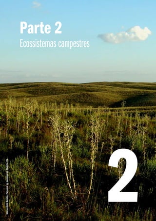 Parte 2
Ecossistemas campestres
GlaysonArielBencke.PaisagemnomunicípiodeAlegrete,RS.
2
 