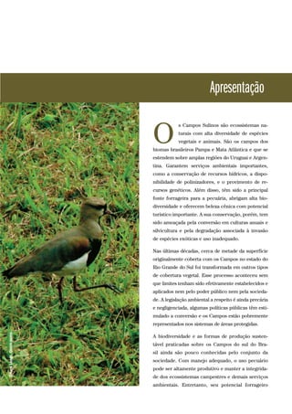 Apresentação
s Campos Sulinos são ecossistemas na-
turais com alta diversidade de espécies
vegetais e animais. São os campos dos
biomas brasileiros Pampa e Mata Atlântica e que se
estendem sobre amplas regiões do Uruguai e Argen-
tina. Garantem serviços ambientais importantes,
como a conservação de recursos hídricos, a dispo-
nibilidade de polinizadores, e o provimento de re-
cursos genéticos. Além disso, têm sido a principal
fonte forrageira para a pecuária, abrigam alta bio-
diversidade e oferecem beleza cênica com potencial
turístico importante. A sua conservação, porém, tem
sido ameaçada pela conversão em culturas anuais e
silvicultura e pela degradação associada à invasão
de espécies exóticas e uso inadequado.
Nas últimas décadas, cerca de metade da superfície
originalmente coberta com os Campos no estado do
Rio Grande do Sul foi transformada em outros tipos
de cobertura vegetal. Esse processo aconteceu sem
que limites tenham sido efetivamente estabelecidos e
aplicados nem pelo poder público nem pela socieda-
de. A legislação ambiental a respeito é ainda precária
e negligenciada, algumas políticas públicas têm esti-
mulado a conversão e os Campos estão pobremente
representados nos sistemas de áreas protegidas.
A biodiversidade e as formas de produção susten-
tável praticadas sobre os Campos do sul do Bra-
sil ainda são pouco conhecidas pelo conjunto da
sociedade. Com manejo adequado, o uso pecuário
pode ser altamente produtivo e manter a integrida-
de dos ecossistemas campestres e demais serviços
ambientais. Entretanto, seu potencial forrageiro
O
OmaraLange.Quero-quero.
 